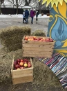 Масленица для АО «СИБУР Химпром»